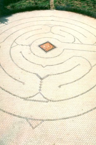 Arial View